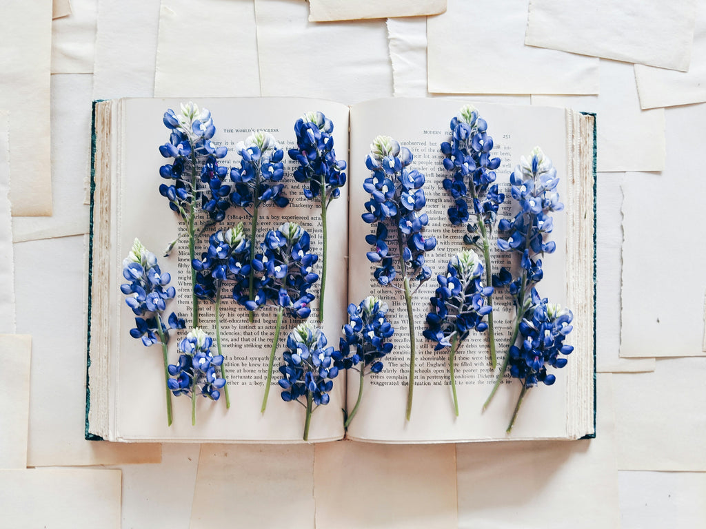 6 Books on my Must Read List: Celebrating Women Writers
