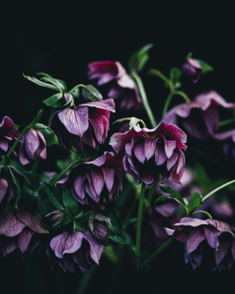 The Energy of Spring