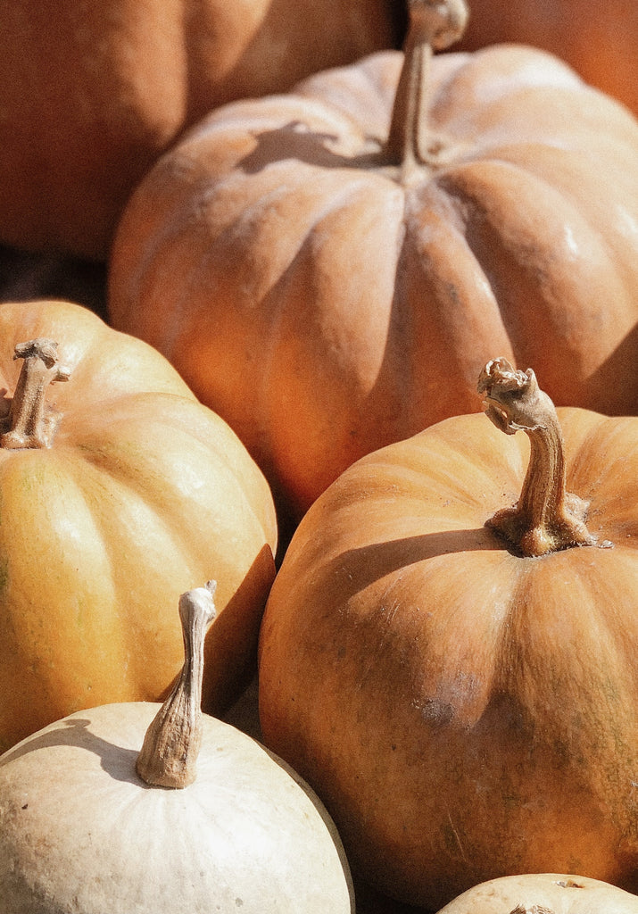 Pumpkin Seed Oil: Superfood and Skin-Healer