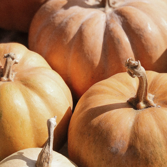 Pumpkin Seed Oil: Superfood and Skin-Healer